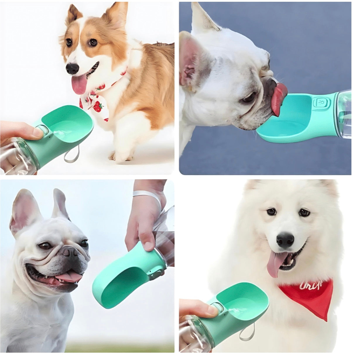 Gourde d’eau portable pour chien et chat